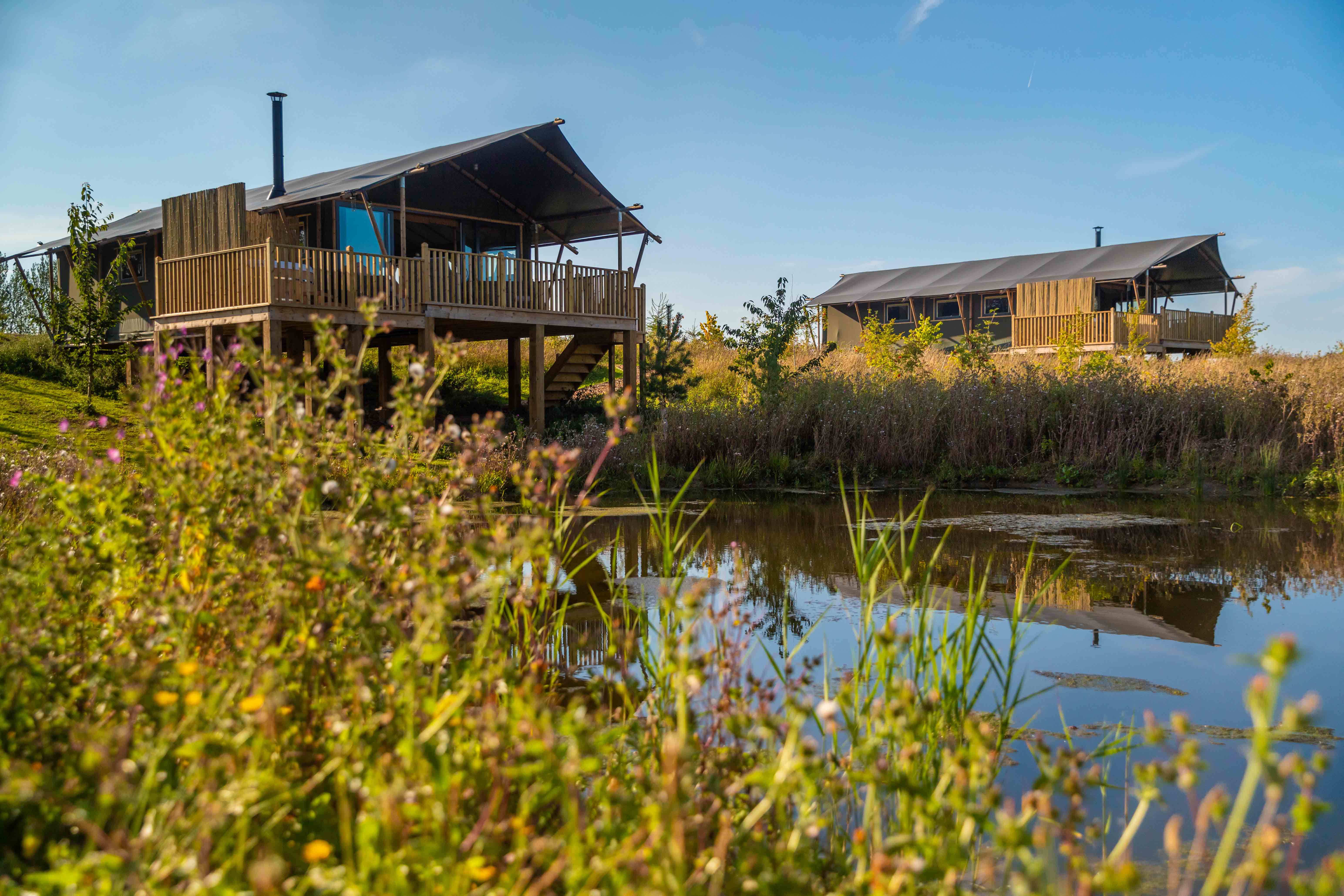 5 Fun Activities To Entertain Your Child During Summer Glamping