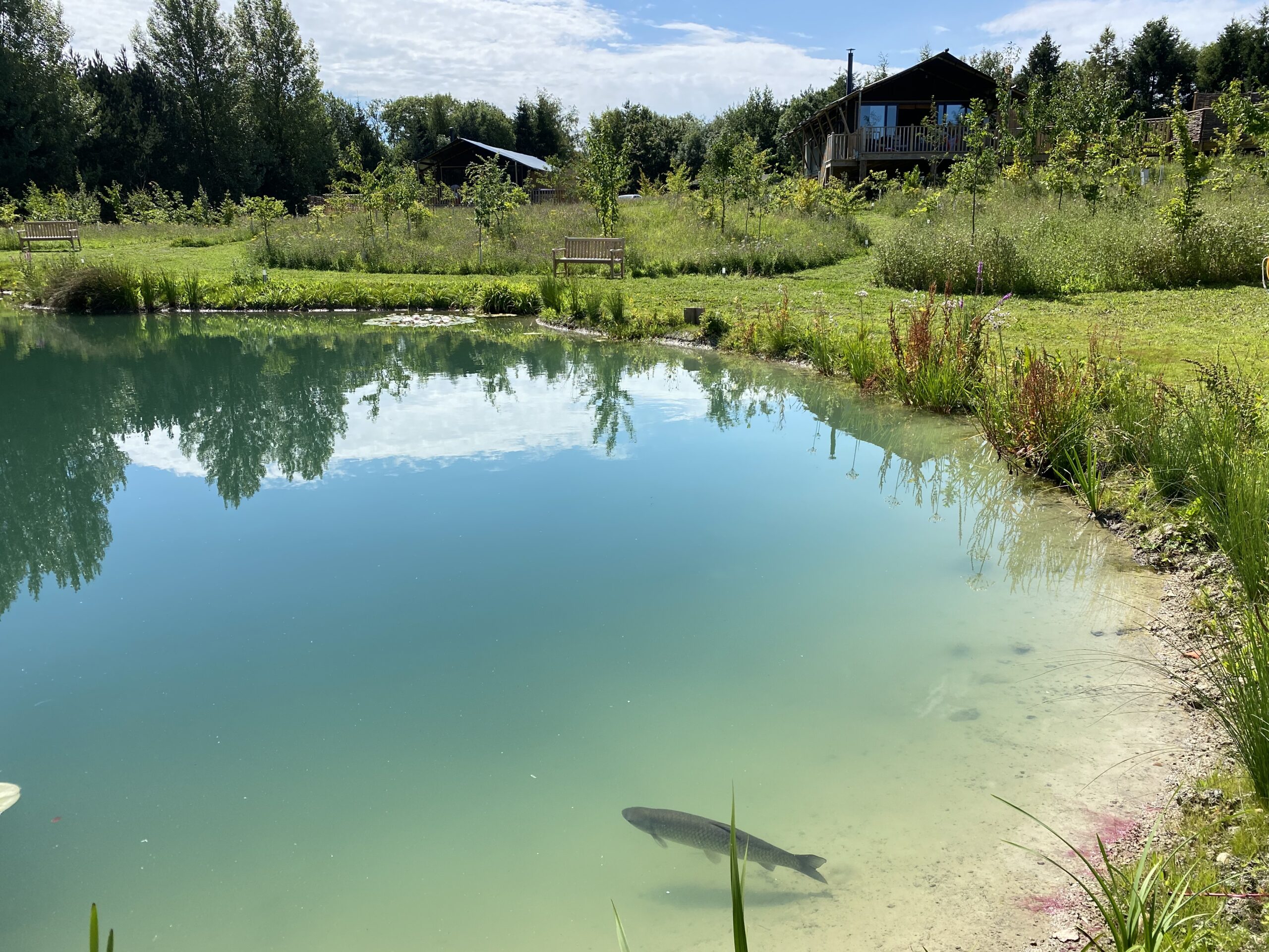 Birdholme grounds and pond